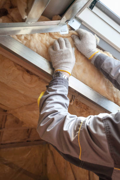 Types of Insulation We Offer in Zilwaukee, MI